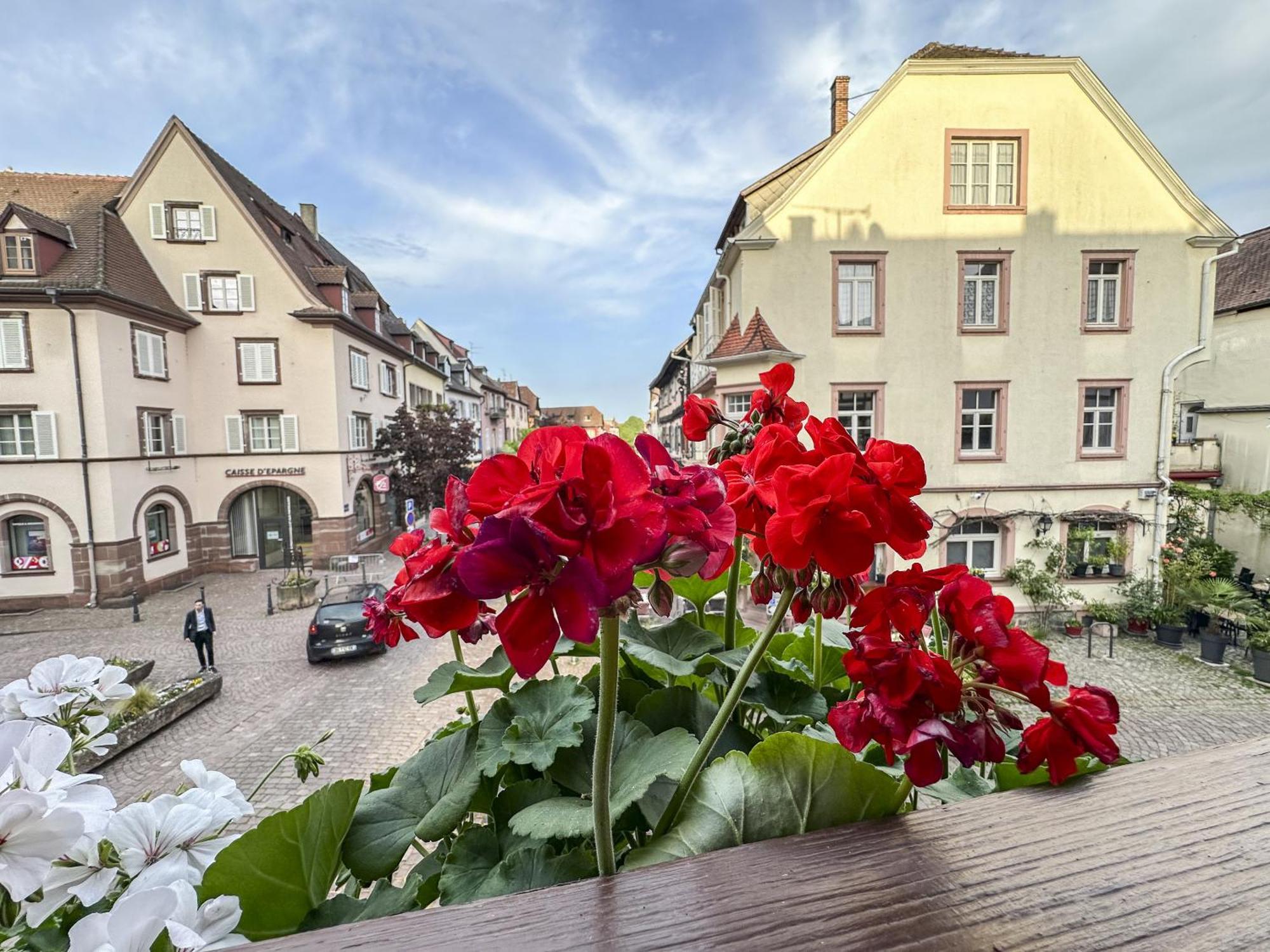 Appartamento Origin'Alsace Kaysersberg-Vignoble Esterno foto